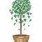 Iyv Topiary with Raffia Wall Stencil | 2296 by Designer Stencils | Floral Stencils | Reusable Art Craft Stencils for Painting on Walls, Canvas, Wood | Reusable Plastic Paint Stencil for Home Makeover | Easy to Use & Clean Art Stencil